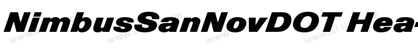 NimbusSanNovDOT Hea字体转换